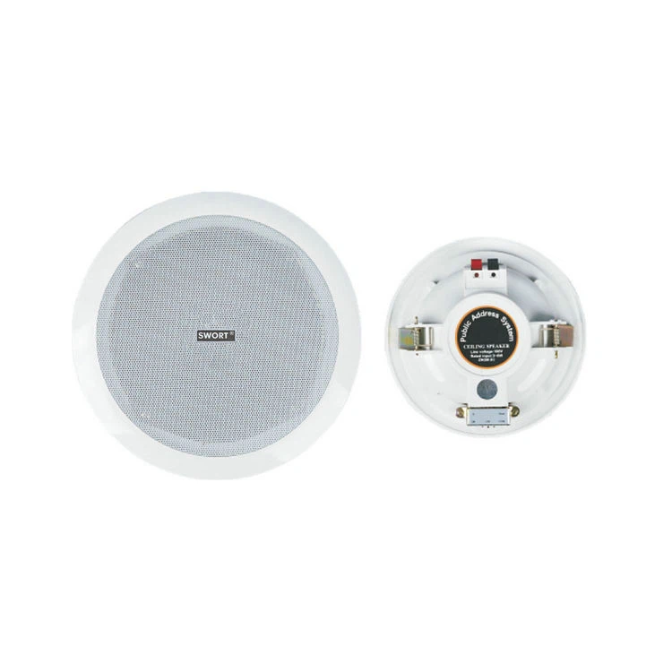 White Ceiling Mount Speaker